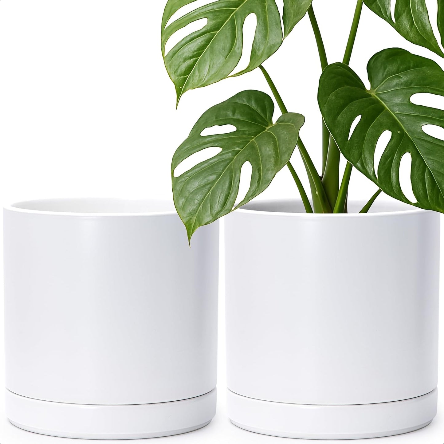 D'vine Dev Set of 2 Plants Pots, 10 Inch Ceramic Planter Pot for Plants with Drainage Hole and Saucer, White, 94-V-E-1