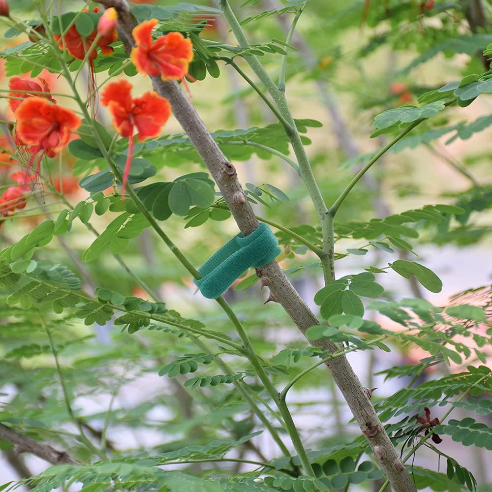 Garden Hook＆Loop Plant Cable Ties, 200 Pcs Adjustable Garden Nylon Ties for Supporting Plant and Vines, Multi-Functional Ties (200 Pcs, 8 Inch, Green)