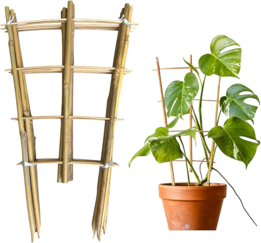 Natural Bamboo Trellis 16inch for Climbing Plants 6 Pack - Plant Ladder Trellis with Garden Ties, Outdoor Decorative Plant Support Stakes for Vines Flowers Vegetables (Fan-Shape)