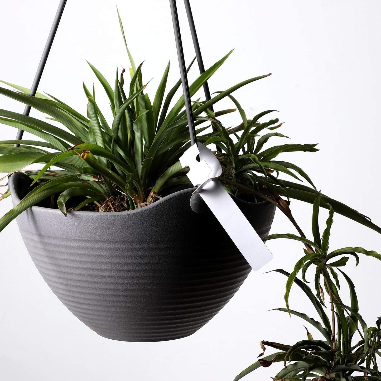 KINJOEK 1200 PCS White Plant Labels, Adjustable Wrap Around Waterproof Hanging Garden Plant Tags for Identifying Various Plants, 2x20cm