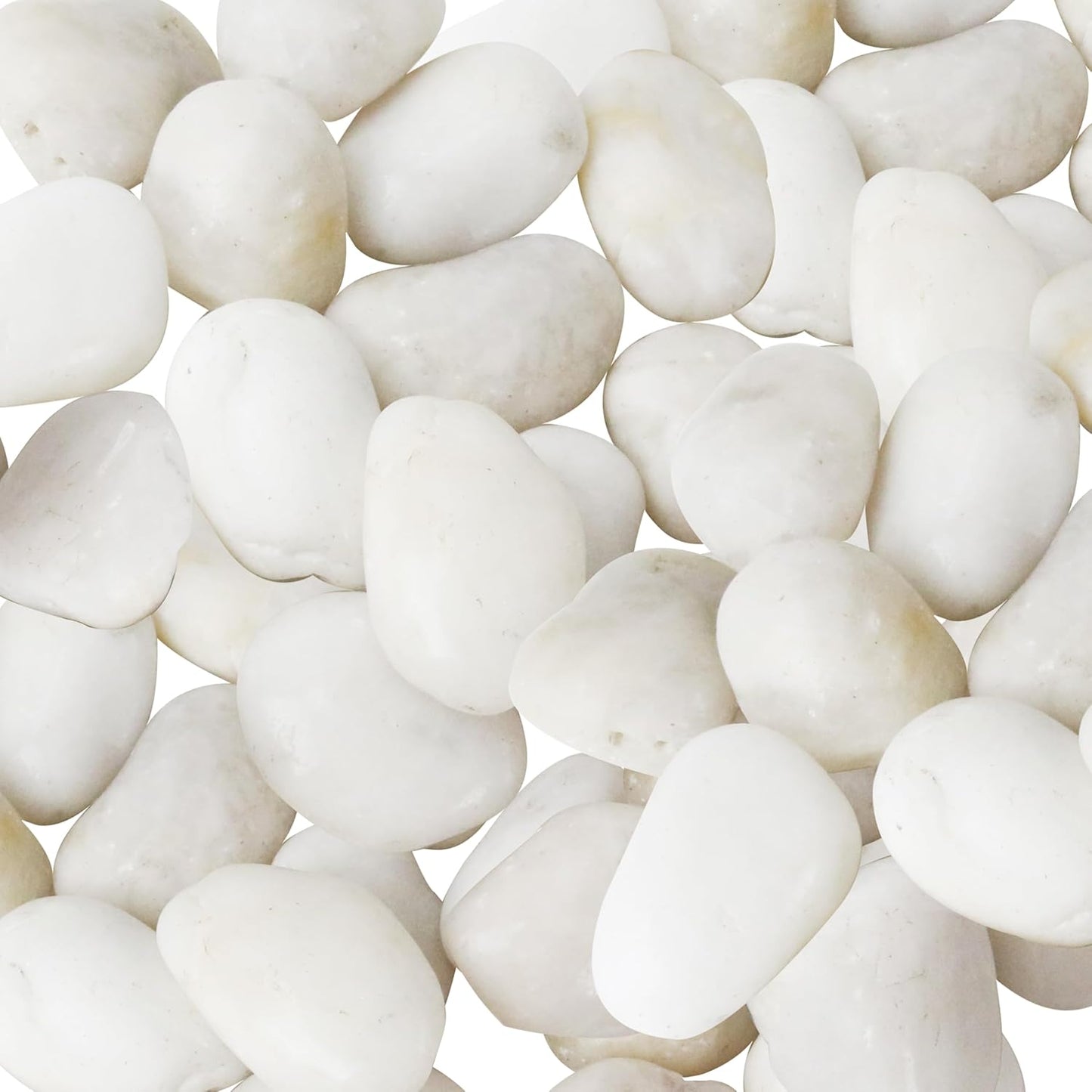 Sunnyglade 5LBS White River Rocks, 2-3 Inch Natural Pebbles for Indoor Plants, High Polished Decorative Stones Vase Filler Fish Tank Aquariums Landscaping Garden Outdoor and Indoor DIY (5 Pounds)