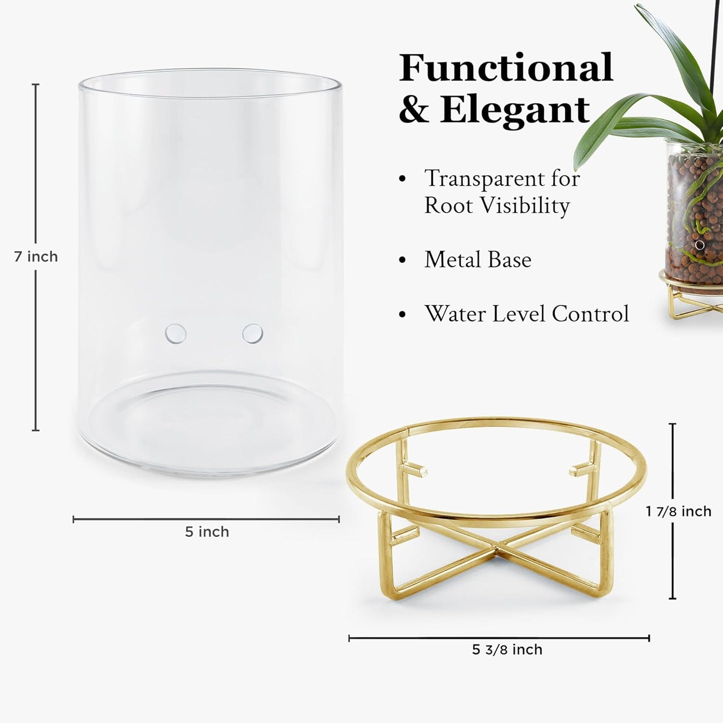 Pot & Pebble - C9 Glass Planter with Decorative Metal Base - Plant Propagation Station with Water Level Control - Plant Cutting Holder for LECA Clay Pebbles/Similar Media - Semi Hydroponic Planter