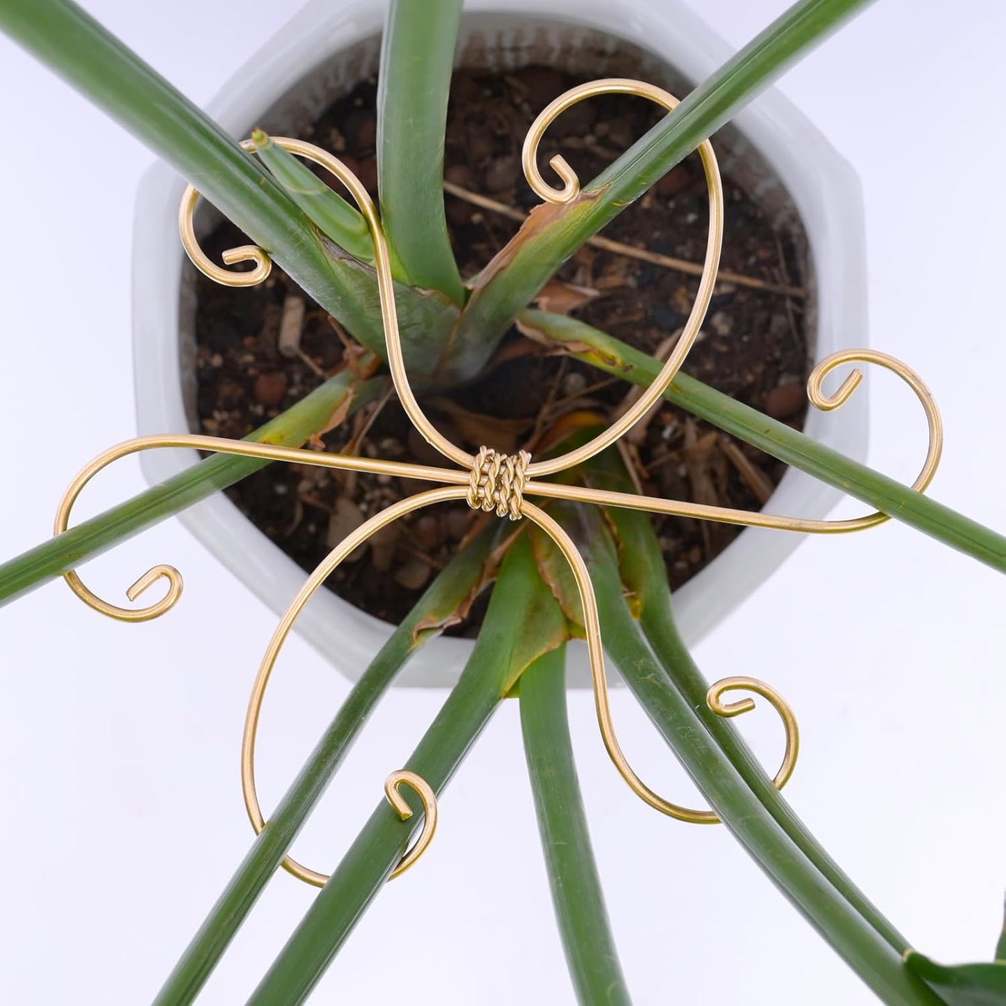 5PCS 7.5 Inch Monstera Plant Stem Support Hook - Premium Metal Structure for Indoor Plants, Durable and Elegant Stem Holder with Soft Touch Clips for Stable Growth