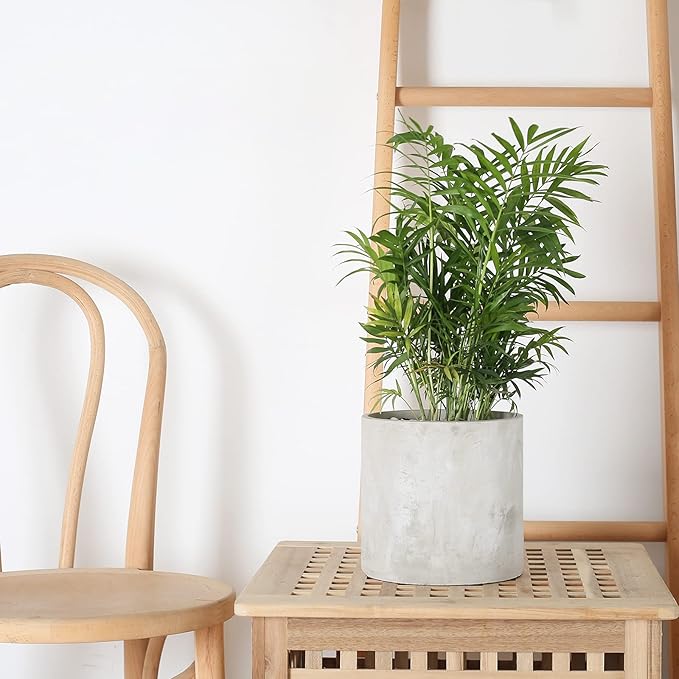 Plant Pots - 7.7 inch Cement Planters Indoor - Modern Grey Flower Pot with Drainage Hole - Home Office Decor