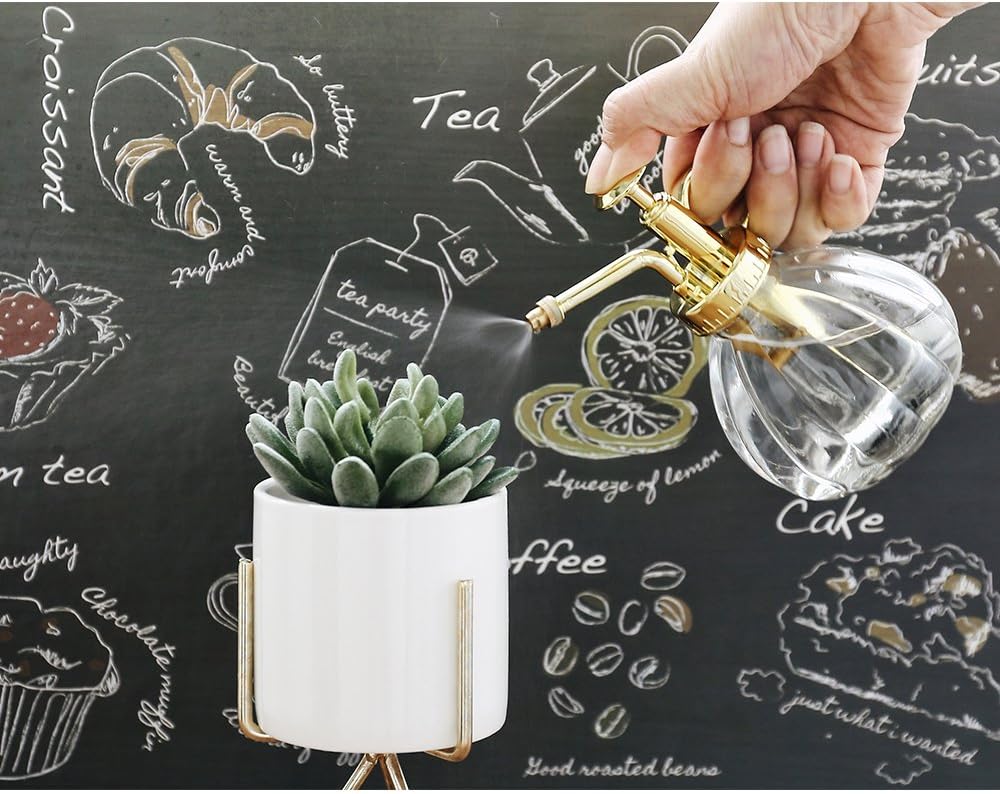 Plant Mister, 6.5" Tall Decorative Glass Water Spray Bottle with Gold Top Pump Small Watering Can by Ebristar - Clear