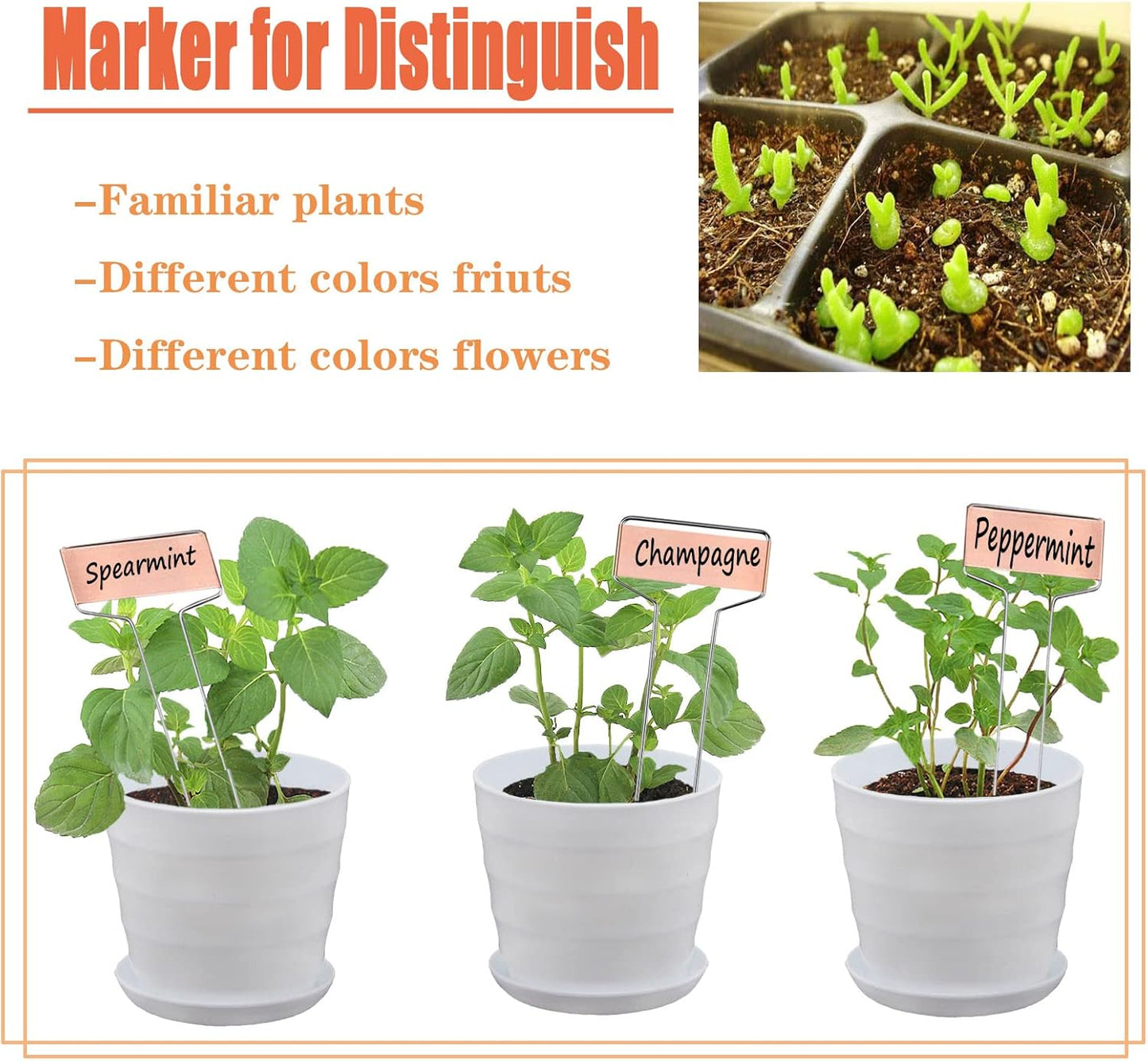 30pcs Plant Labels Copper Plant Markers for Outdoor Plants 6inch Plant Labels for Seedlings Outdoor Garden Waterproof Plant Tags and Labels for Flower Vegetable Herbs Greenhouse (6 in, Copper)