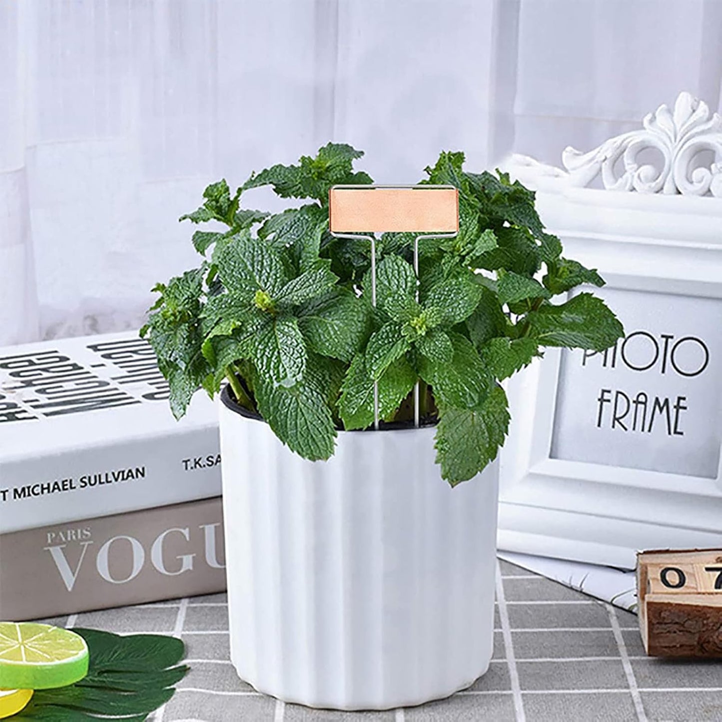 Foraineam 30 Pack 10 Inch High Copper Plate Metal Plant Labels Garden Stake Tags Reusable Planting Gardening Markers