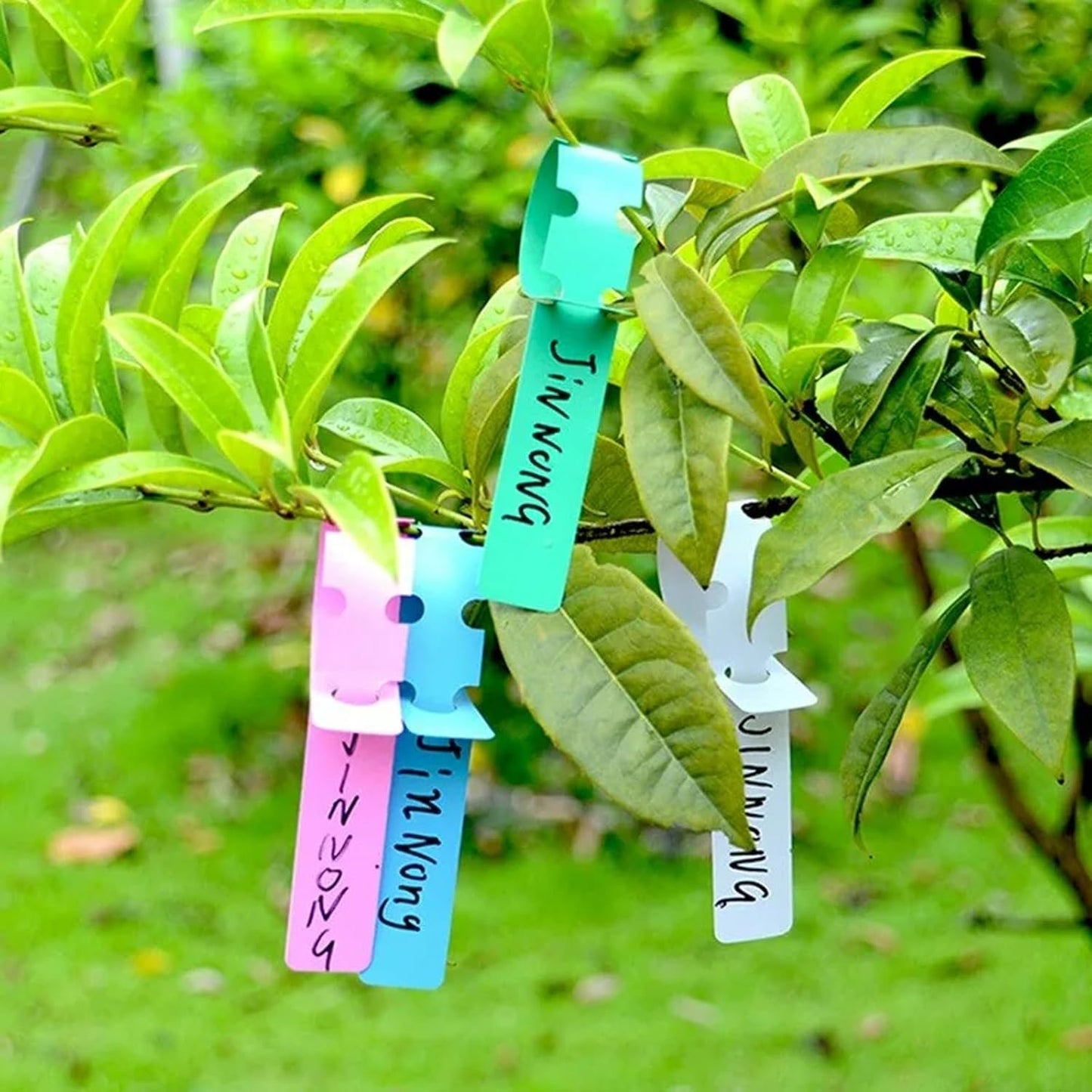 KEILEOHO 1200 PCS 6 Colors Plastic Plant Tags Wrap Around, Outdoor Waterproof Plant Labels, Nursery Garden Markers with Large Writing Surface, Adjustable Hanging Labels for Identifying Plants
