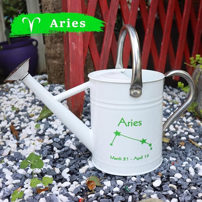 Metal Watering Can for Outdoor and Indoor Plants, Watering Can Decor, 1 Gallon (Aries)