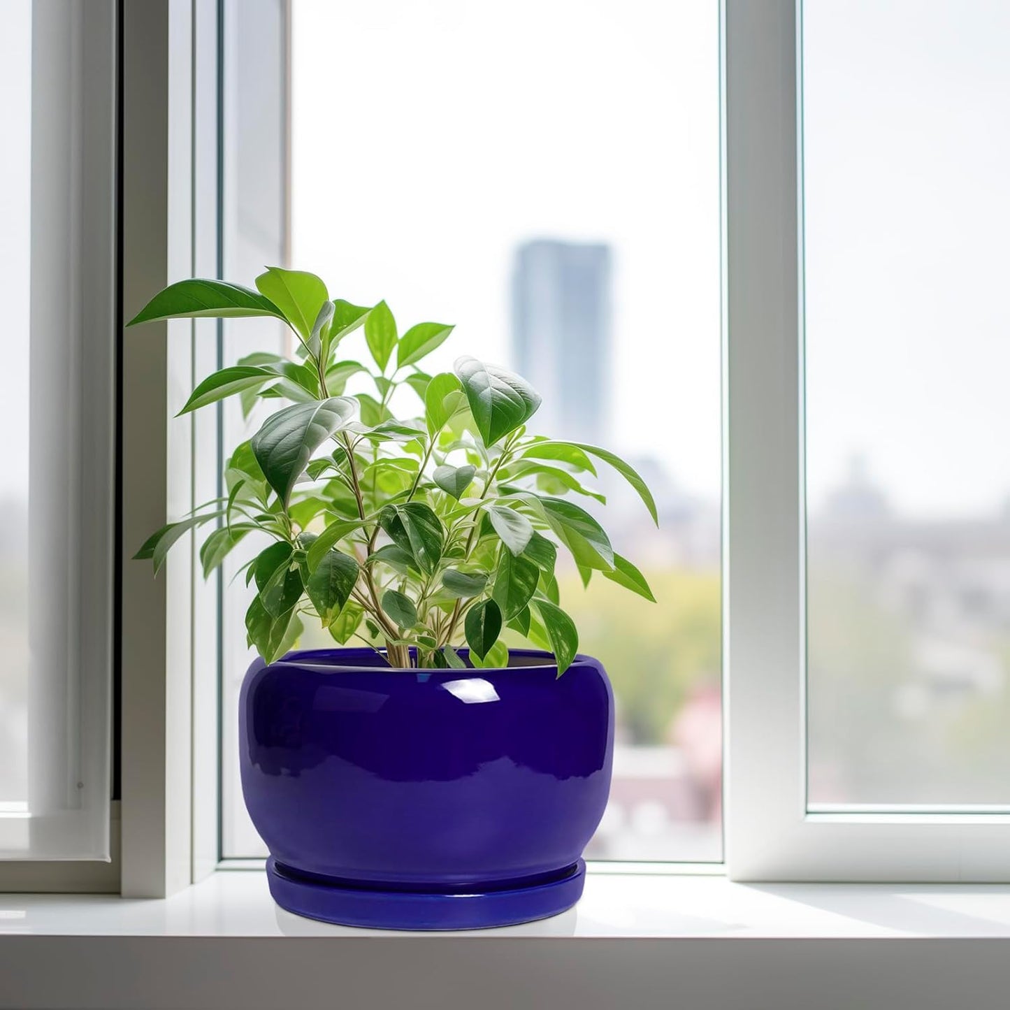 SQOWL Ceramic Plant Pot - 10 Inch Ceramic Planter for Indoor Outdoor, Round Flower Pot with Drainage Hole and Saucer, Modern Decorative Large Planter, Garden Decor, Plant Lover Gifts, Blue