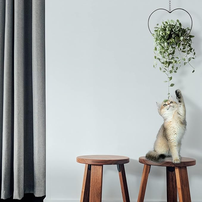 Hajia 1 Pack Heart Shaped Boho Hanging Plant Holder with 6inch Detachable Pot, Black Metal Wall Ceiling Plant Hanger for Indoor Outdoor, Minimalist Small Hanging Planter for Home Wedding Decor