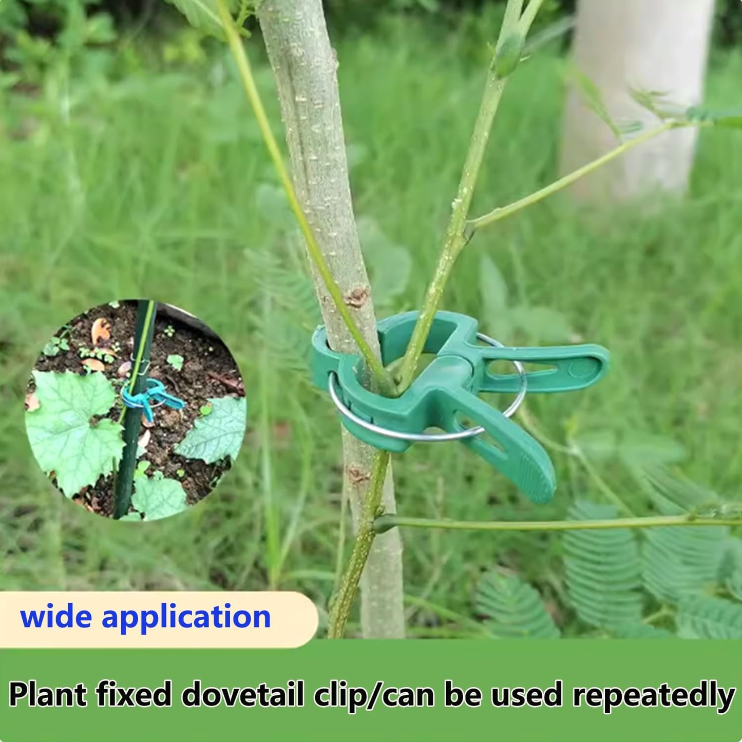 40Pcs Plant Clip Garden Clip Plant 2 Size Reusable Tomato Clip,Multi-Purpose Plant Rattan Clip Rose,Sturdy Cucumber Orchid Clip Plant Support Adjustable Clip Green (20 Large + 20 Small)