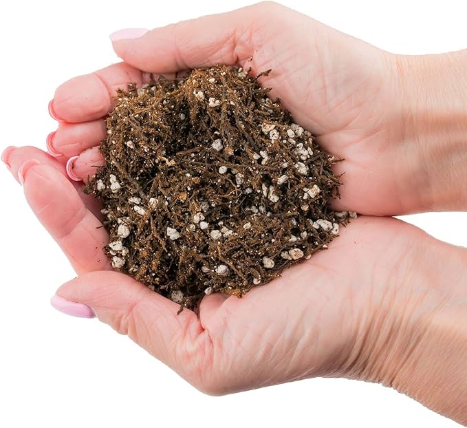 Fern + Perlite Soil Mix for Repotting and Planting Succulents and Cactuses - 1 Quart Bag
