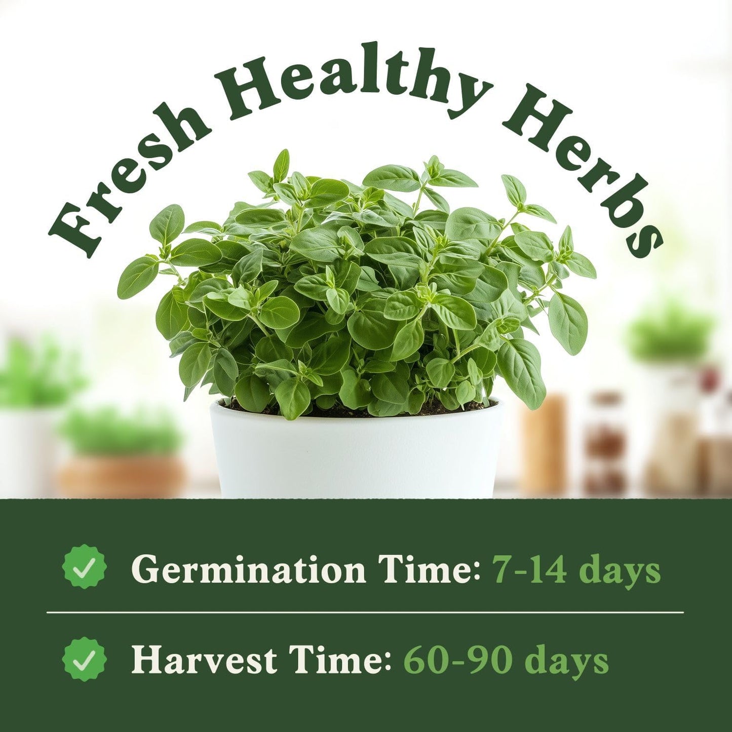 Seedboy Organic Oregano Seeds for Planting Indoor and Outdoor, Non-GMO and USDA Certified Herb Seed Packet for Hydroponic Garden Indoor or Planting Outdoors (Italian Oregano)