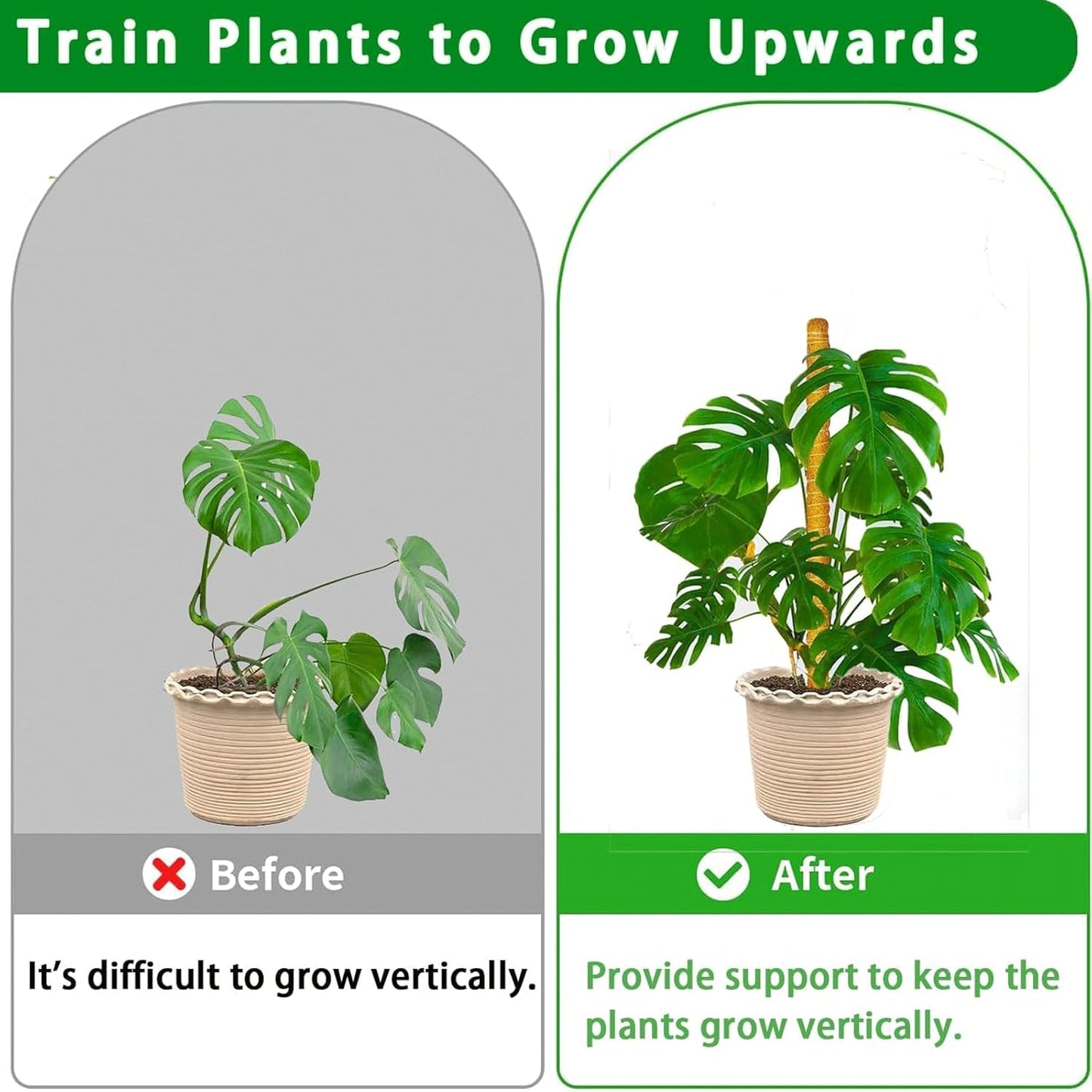 Moss Pole, 2Pack 21 Inch Plant Support Stakes for Indoor Plants, Monstera Plant Support Stakes, 37 Inch Tall Coir Plant Pole Sticks for Potted Plants, Pothos, Philodendron