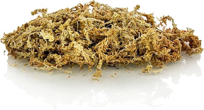 Premium New Zealand Sphagnum Moss - Organic Hand Mixed Long Fibered Sphagnum Moss Orchid - 5 Quart