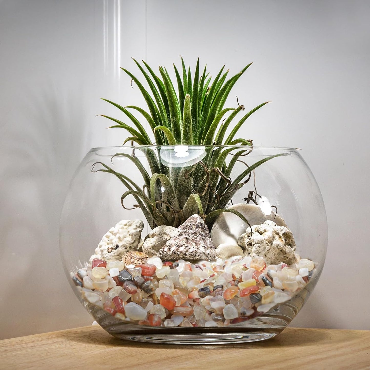 Halatool 2.2LB Crystal Pebbles 0.27"- 0.79" Natural Landscaping Pebbles Aquarium Gravel Decorative Polished Stone Suitable for Plants Home Decoration DIY Handmade Fish Tanks Vase Filler