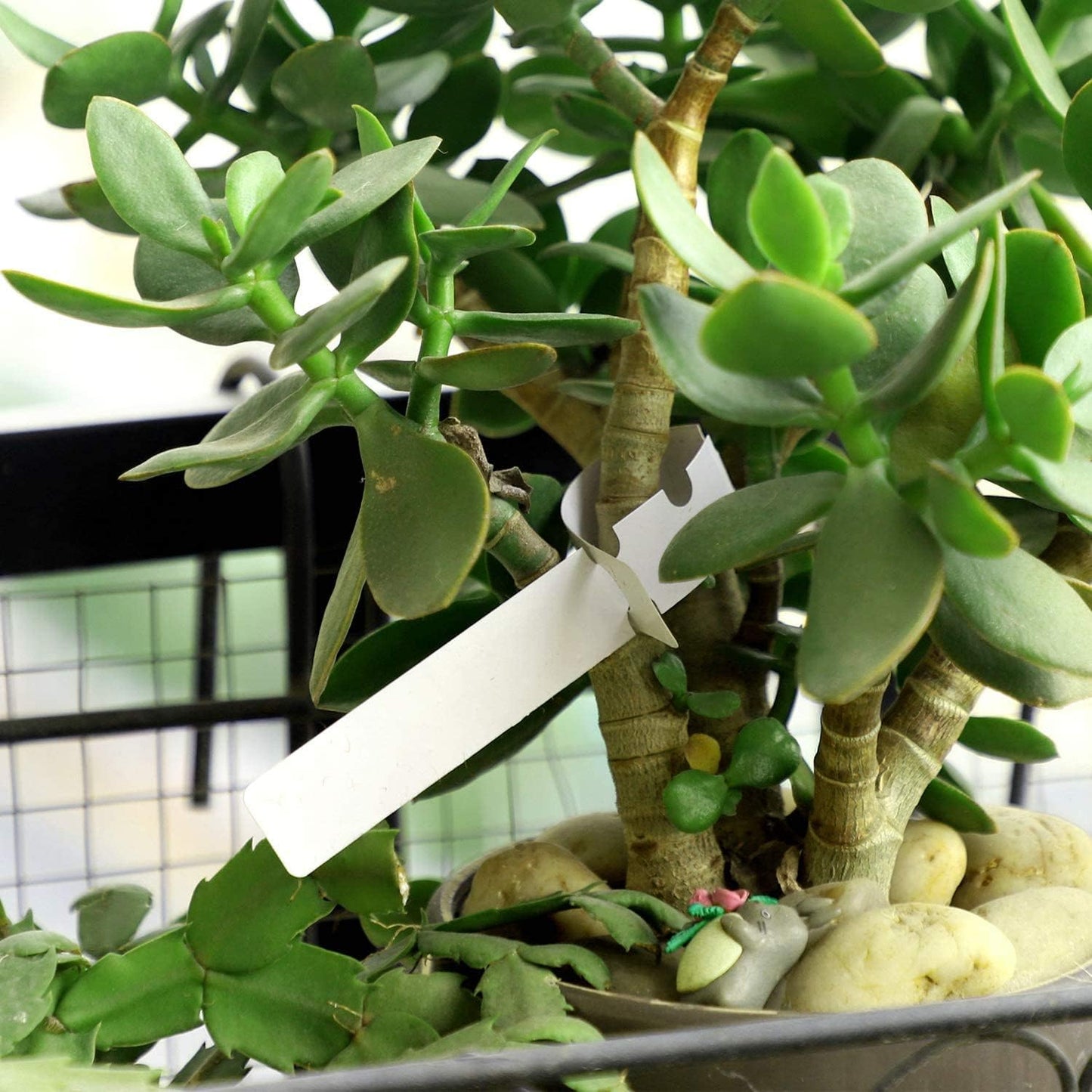 KINJOEK 1200 PCS White Plant Labels, Adjustable Wrap Around Waterproof Hanging Garden Plant Tags for Identifying Various Plants, 2x20cm