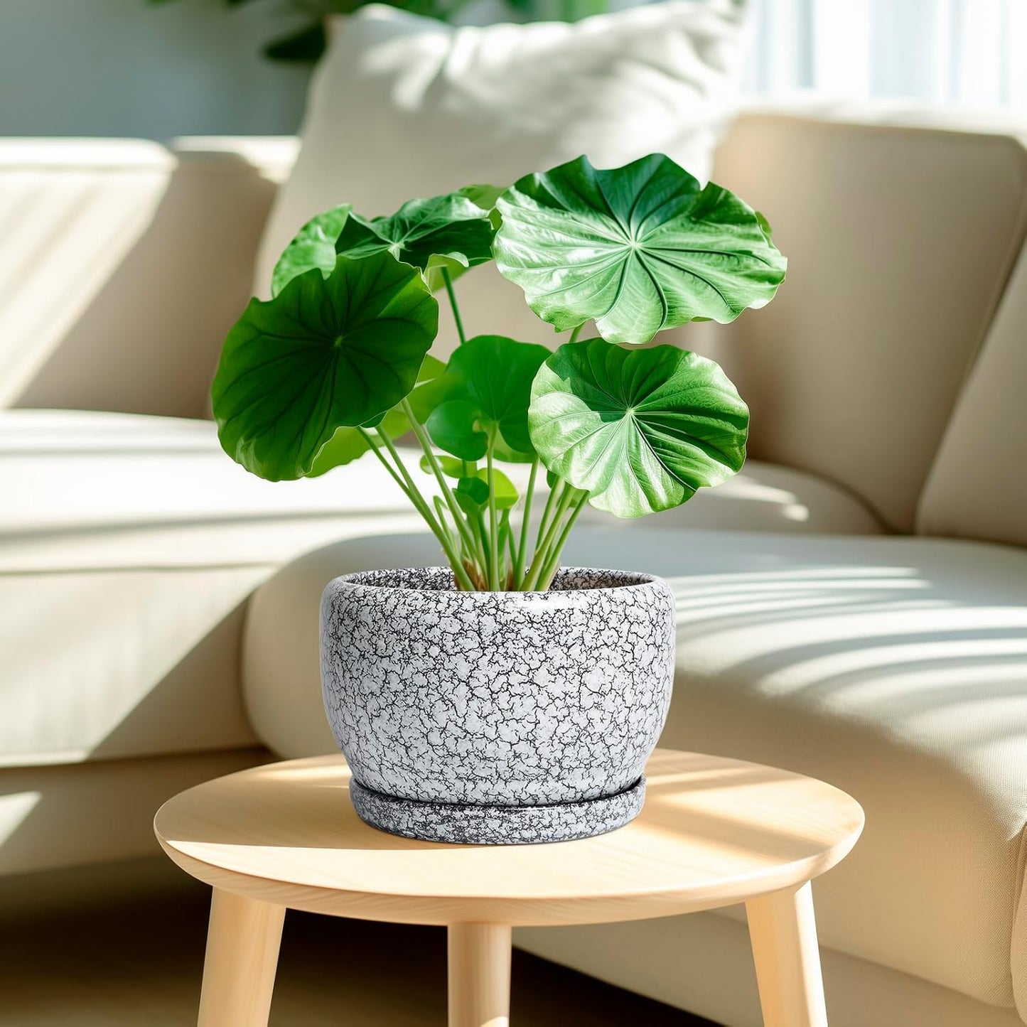 SQOWL 8 inch Plant Pot - Ceramic Planter with Drainage Hole and Saucer, Round Flower Pot for Indoor Plants, Decorative Planter Outdoor, Patio Balcony Decor, House Warming Gifts, Black and White