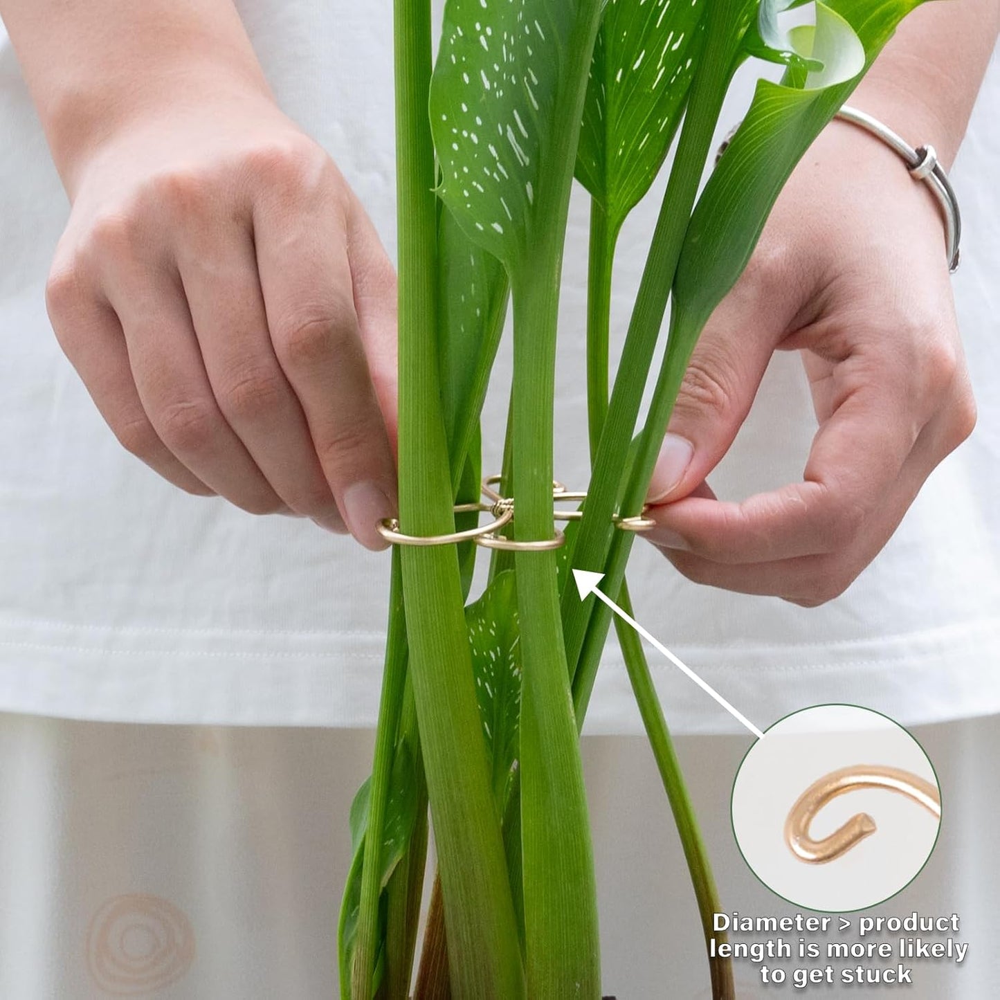 5Pcs Monstera Plant Stem Support Hook (2.75x2.75 inches) - Durable Metal Stem Support for Monstera & Fishbone Cactus, Easy Installation, Ideal Gift for Plant Lovers & Home Decor