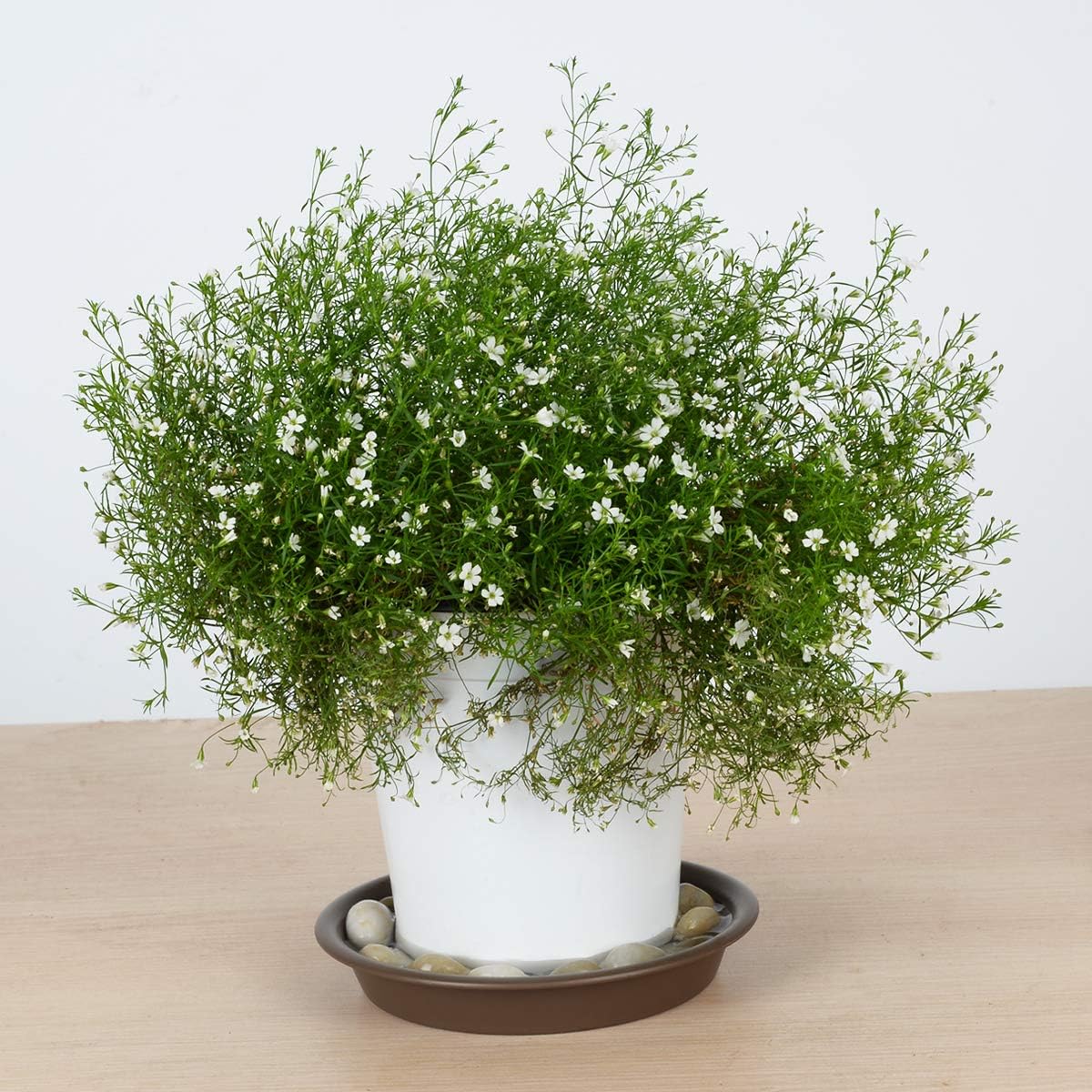 Plant Saucer 4 inch, Large Planter Durable Thicker Plastic Plant Trays for Indoors and Outdoor, Plant Saucer Drip Trays,Brown (4" - 3 Pack)