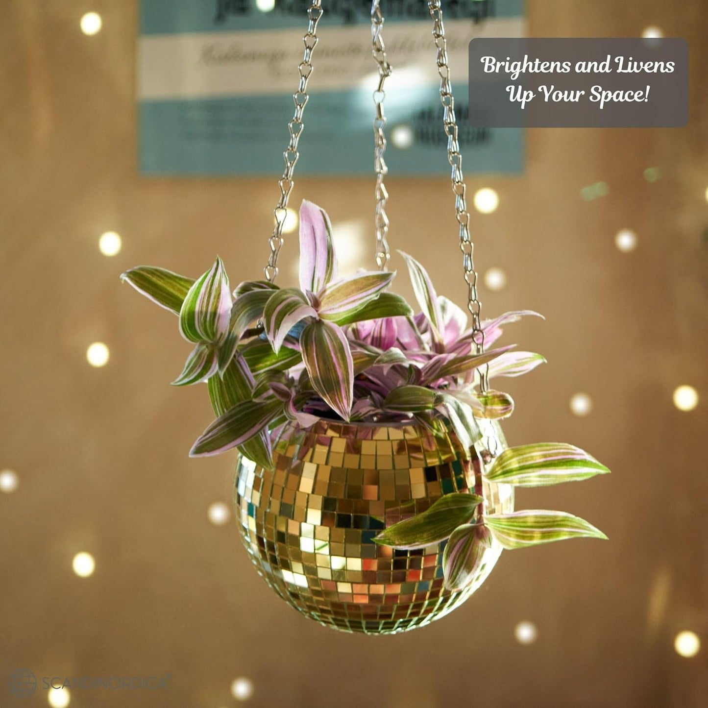 SCANDINORDICA Disco Ball Planter – Value Package: Mirror Disco Planter with Chain, Macrame Hanger and Acrylic Stand for Desk, Includes Self Watering Insert, Retro Decor | 6 inch Gold