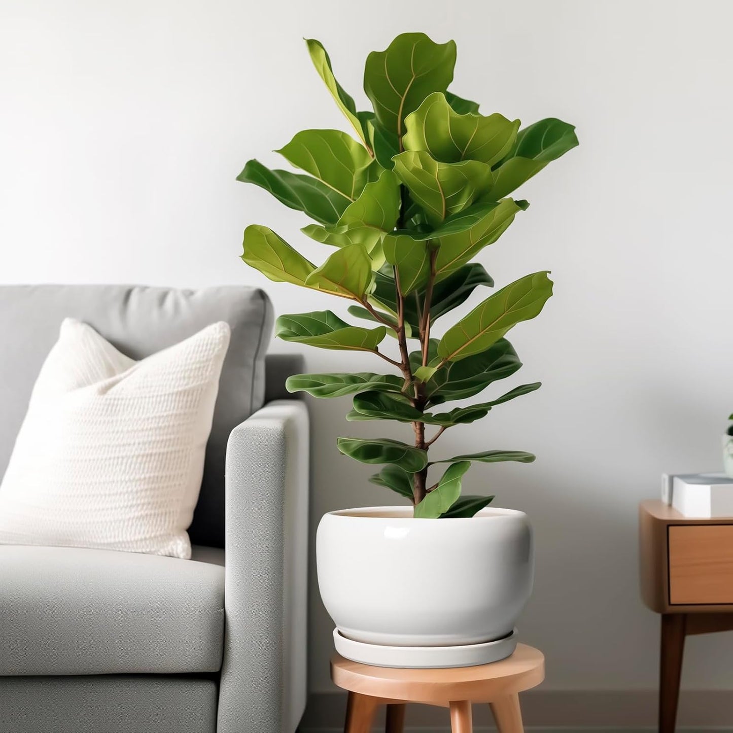 SQOWL Ceramic Pot for Plants - 10 Inch Planter with Drainage Hole and Saucer, Round Ceramic Flower Pot for Indoor Outdoor, Modern Decorative Large Planter, Patio Decor, Gifts for Plant Lovers, White