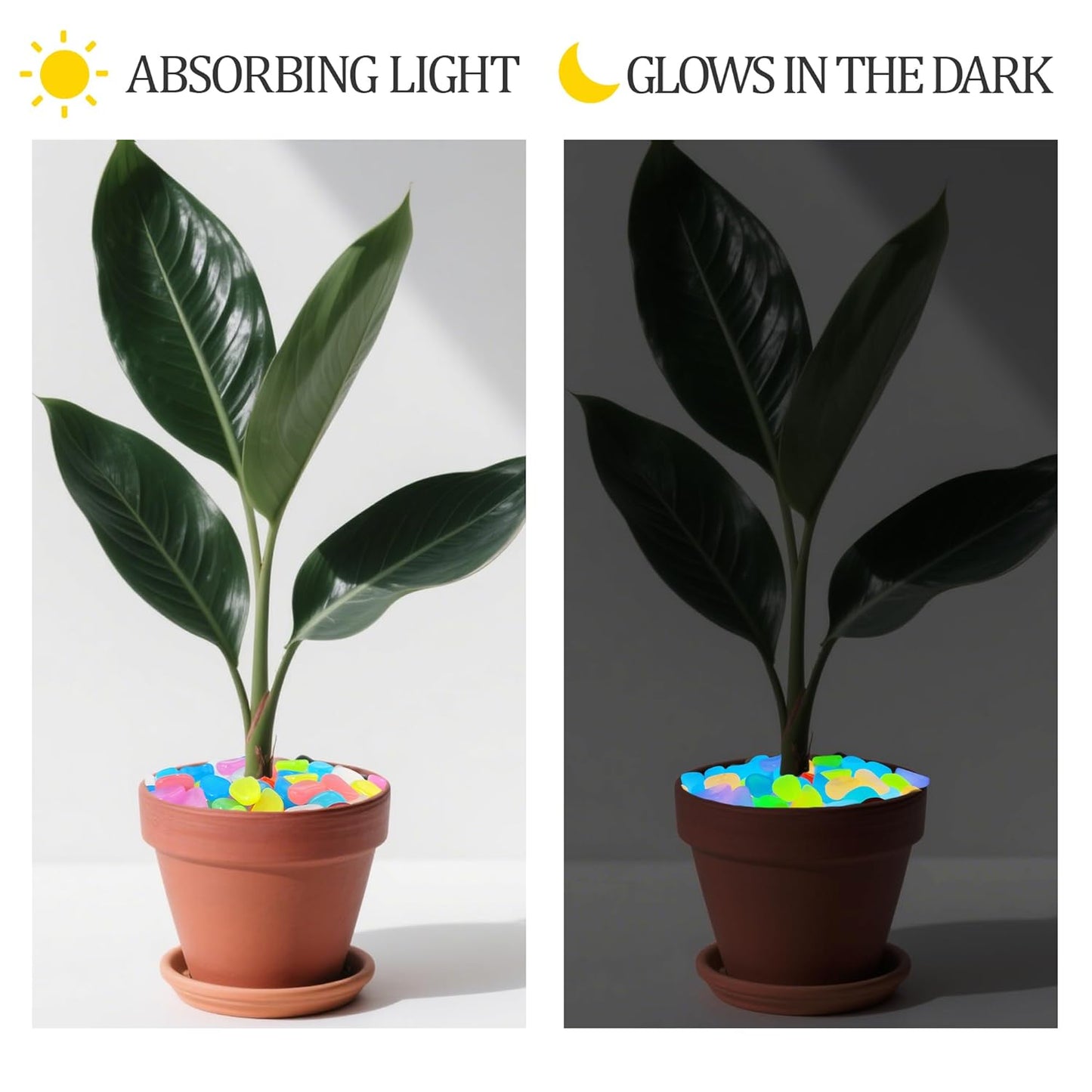 2.1LB 25-27mm Color Glow in The Dark Rocks Outdoor Decorative Stones Luminous Pebbles Glow Stones for Patio Landscaping Walkway Driveway Large Glowing Stones Garden Stones