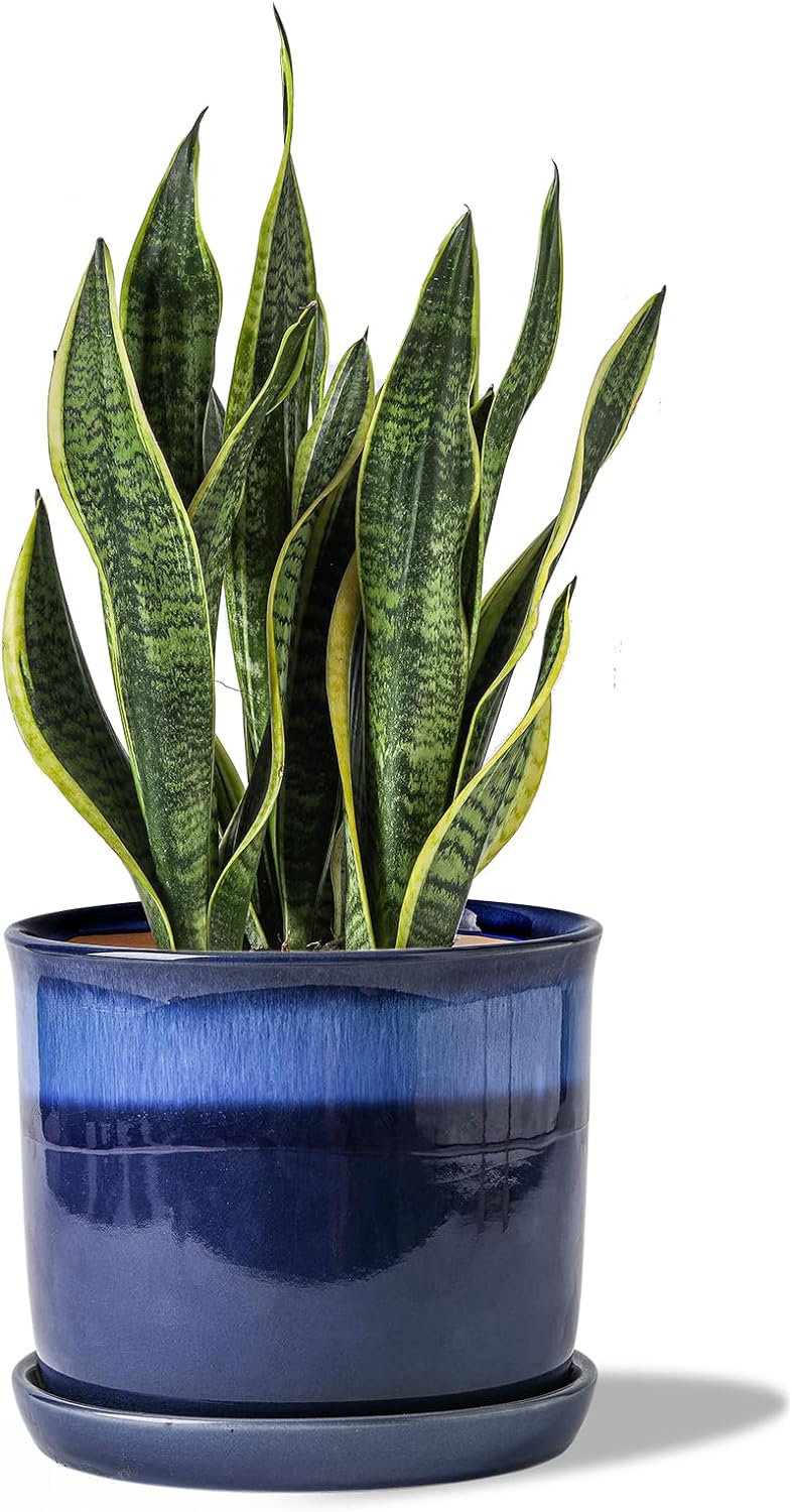 8 Inch Plant Pot: Ceramic Planter with Drainage Hole & Saucer - Gradient Blue Flowerpot for Indoor & Outdoor Plants with Separate Tray