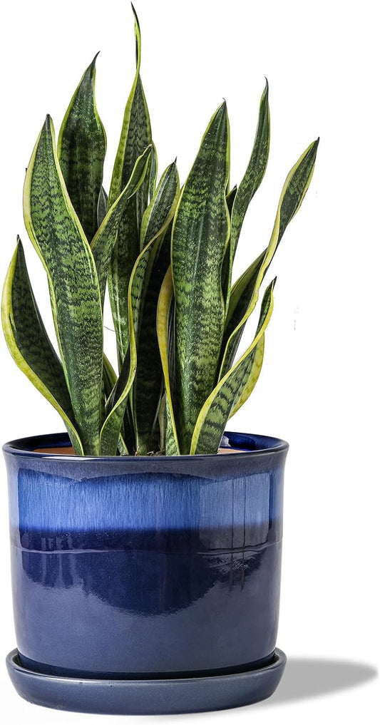 8 Inch Plant Pot: Ceramic Planter with Drainage Hole & Saucer - Gradient Blue Flowerpot for Indoor & Outdoor Plants with Separate Tray