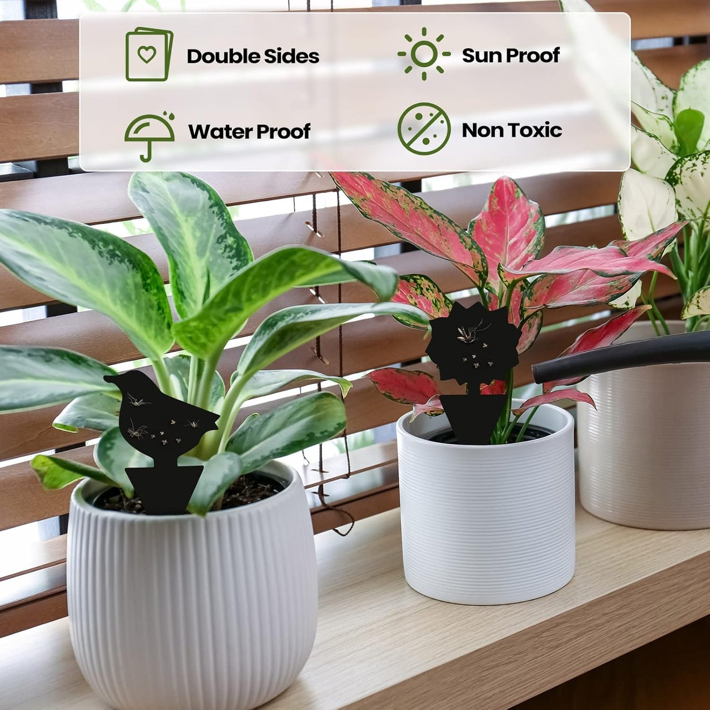 200 Sheets Fruit Fly Sticky Traps for Fruit Fly Gnat Trap for House Indoors Sticky Traps Catcher for Gnats Fungus Gnats Mosquito Catcher for Kitchen Outdoor Plants(Black)