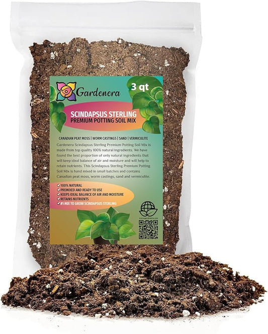 Scindapsus Sterling Plant Potting Soil - Enhance Variegation and Health with Professional Grade Nutrient-Rich Mix - 3 Quart