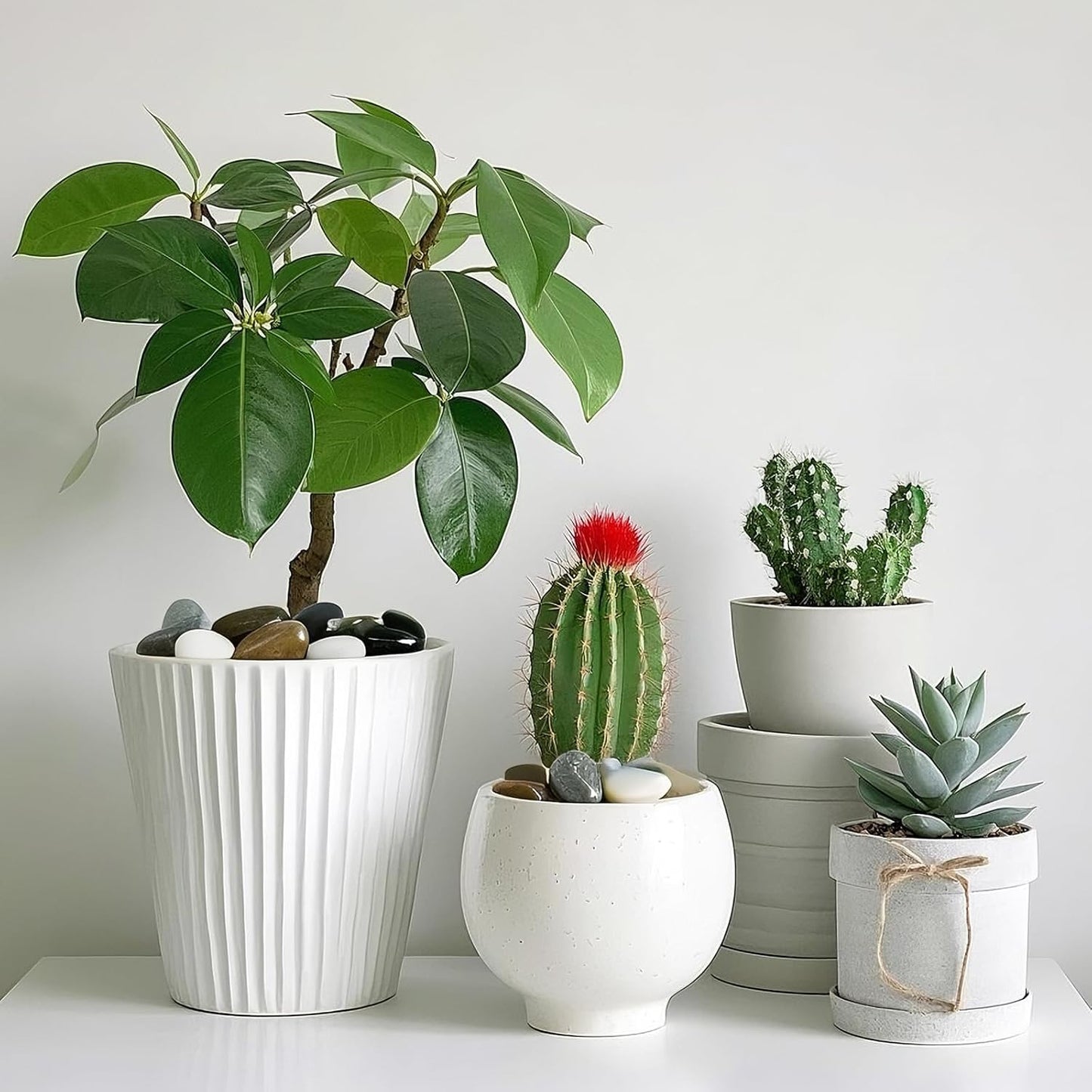 Pebbles for Indoor Plants, 10lbs Colorful Pebbles 0.5-1.2 Inch Decorative River Rocks for Planters, High Polished Stones for Vase Filler Fish Tank Landscaping Garden