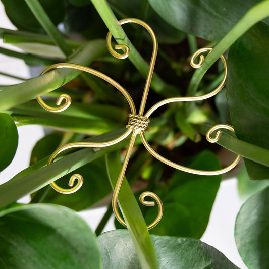 5PCS Monstera Plant Stem Support Hook - 6.5 * 6.5IN Durable Metal Stem Stabilizer for Monstera Plants and Fishbone Cactus - Gentle Protection Leaf Holder - Easy Installation - 5 Piece Set