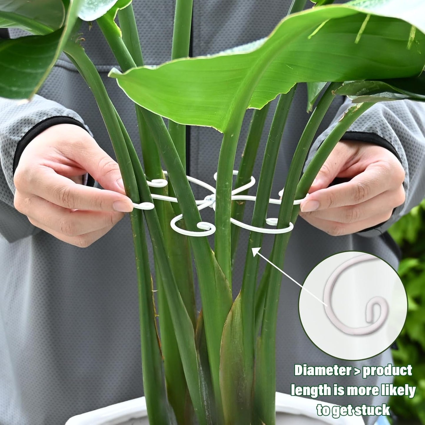 5PCS Monstera Plant Support Hook - 5.5x5.5 inch Premium Indoor Stem Stabilizer for Monstera & Fishbone Cactus, Durable,Easy Installation, Gentle Protection for Healthy Plant Growth