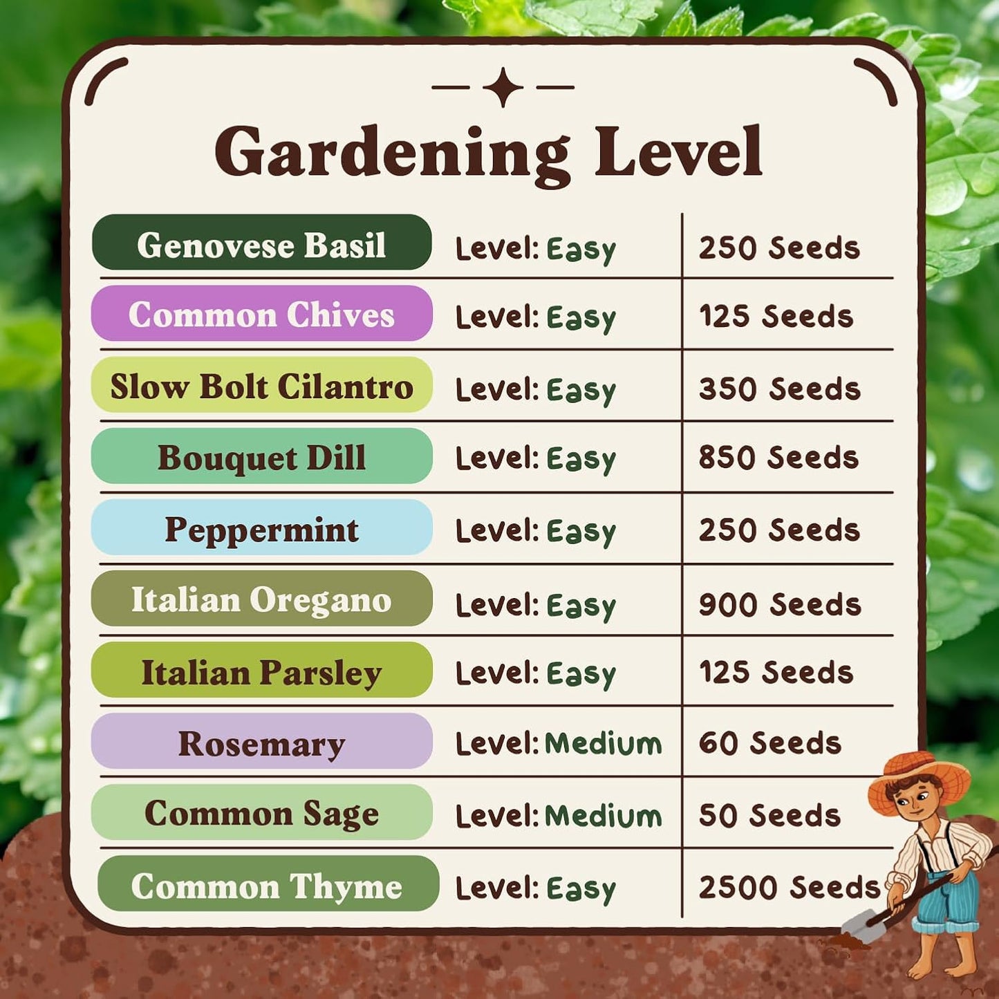 Seedboy Organic 10 Herb Variety Pack: Basil, Cilantro Mint Oregano Parsley Thyme Chives Dill Sage Rosemary for Planting Indoor and Outdoor, 5460 Non-GMO USDA Certified Seeds (10 Herb Variety Pack)