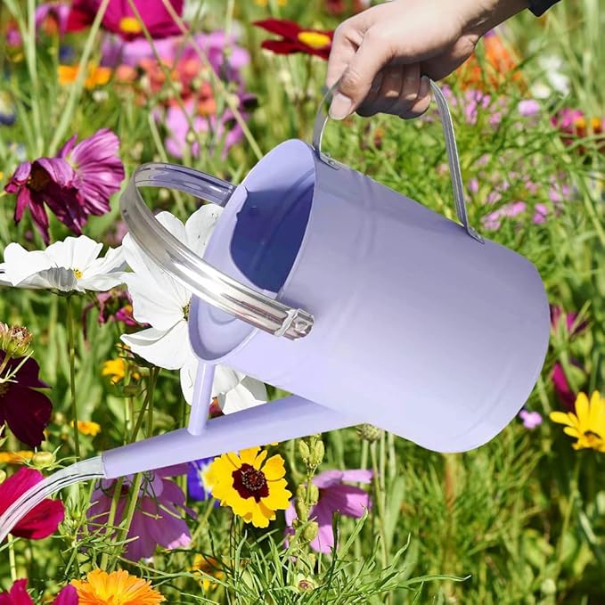 Metal Watering Can for Outdoor and Indoor Plants, Watering Can Decor, 1 Gallon (Purple)