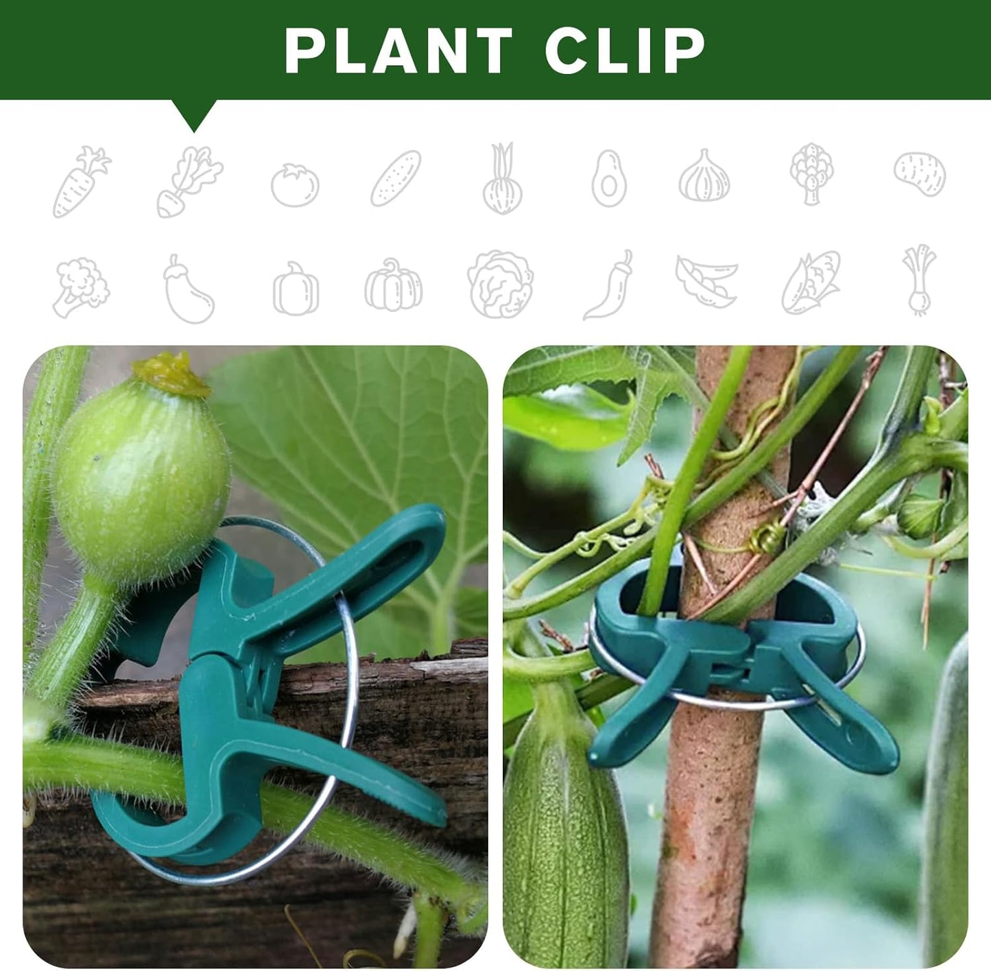 Plant Clips for Climbing Plants, Tomato Clips and Garden Clips for Vine Support, Plant Support Clips for Tomatoes and Garden use (Green, 20 small20 Big)