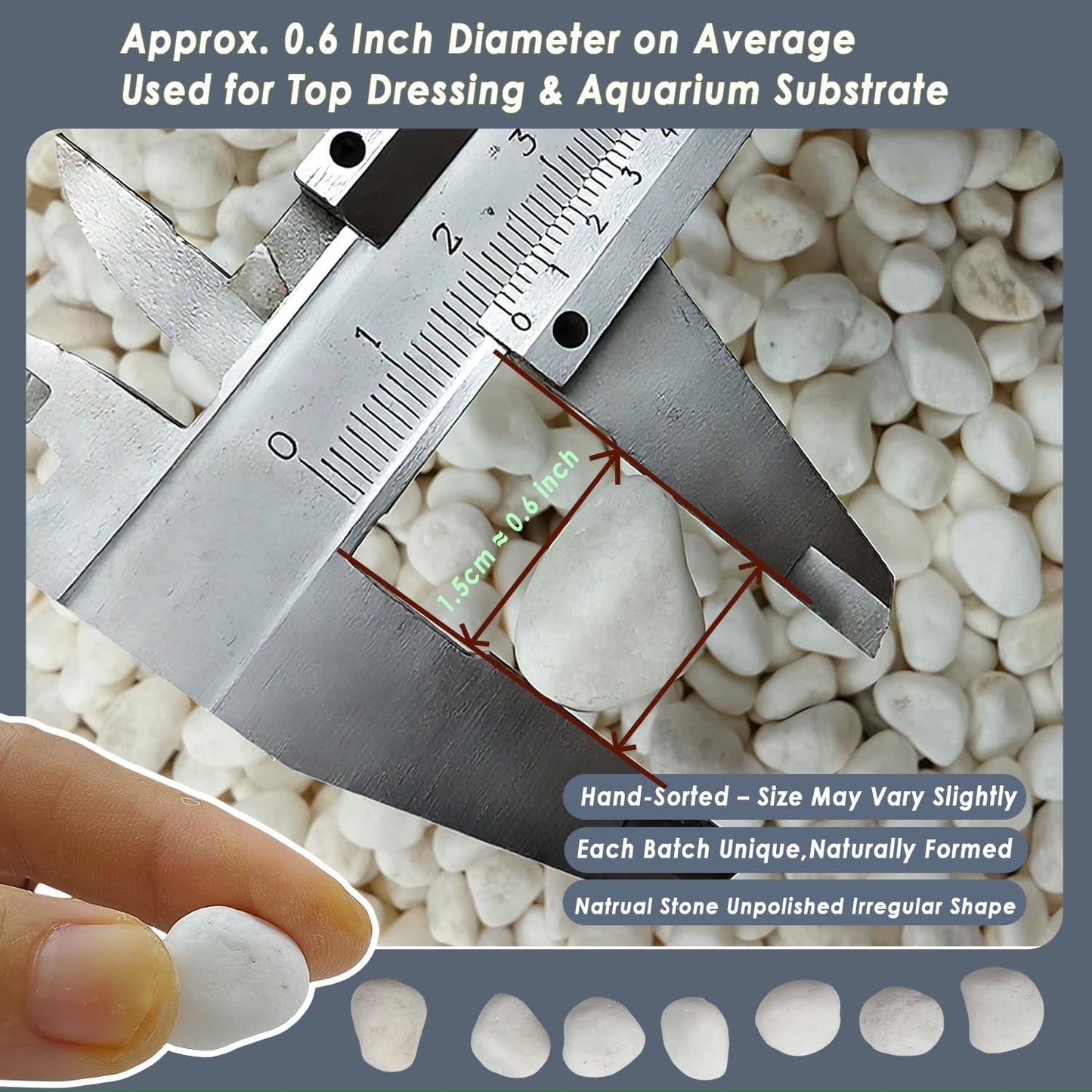 5 LB Natural White Gravel for Plants, Succulents & Cactus, Aquarium, Fish Tank, 0.6 inch Small White Pebbles for Vases, Rocks for Landscaping, Indoor Potted Plants, Garden and Home Decorative Stones