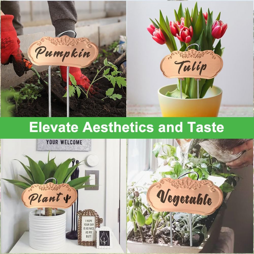 Metal Plant Labels,Tall Outdoor Garden Markers for Flower, Fruit and Vegetable, 304 Stainless Steel Weatherproof Signs (25 Packs, 4" x 1.9", Gold)