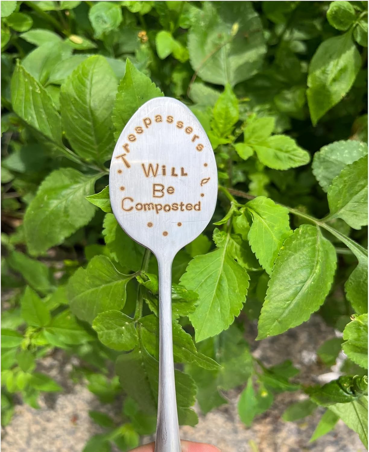 Garden Plant Marker Friendship Gift for Women Gardeners, Plant Stake Label Sign Tag Gardening Gifts for Woman Plant Lovers, Metal Garden Decoration (Will Be Composted)