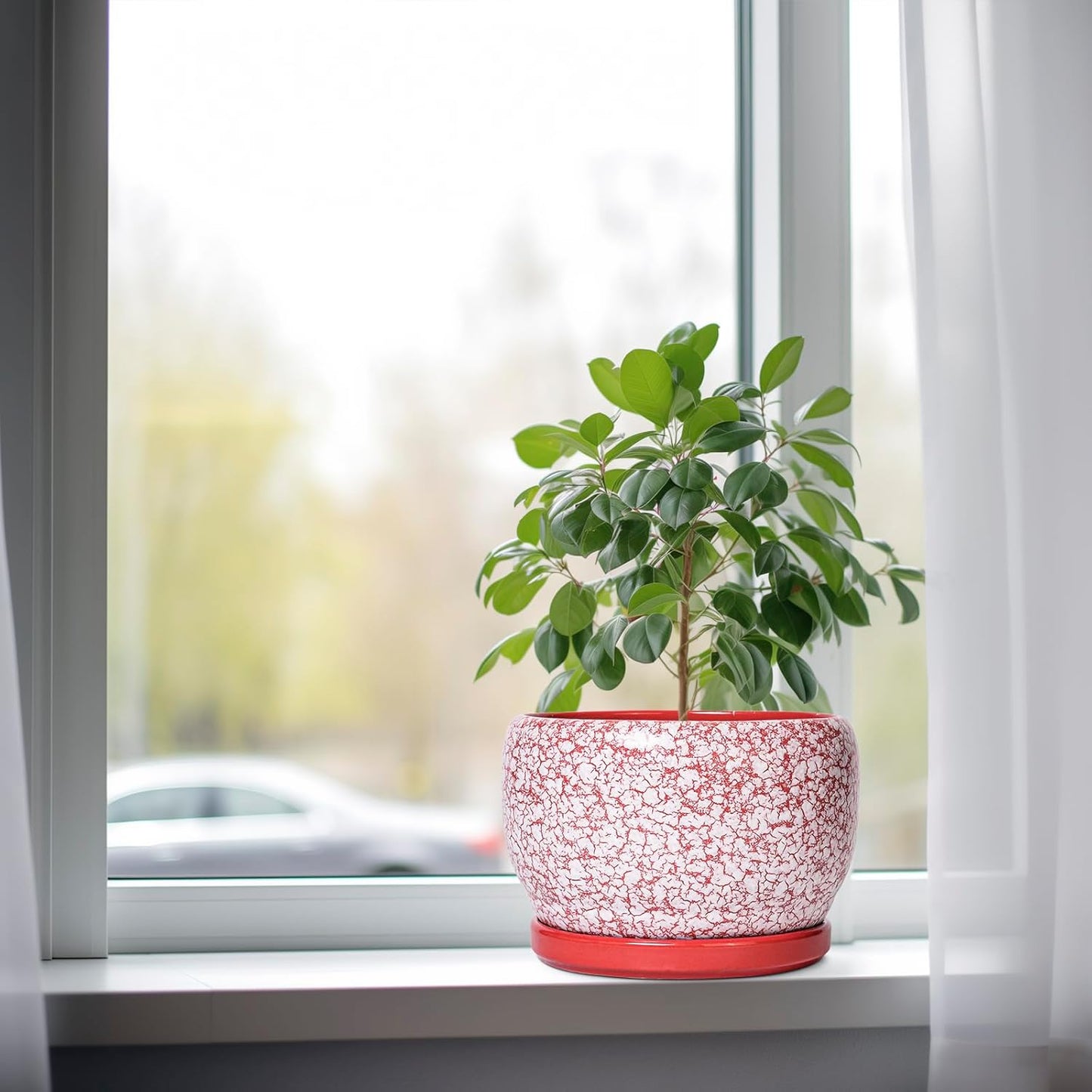 SQOWL Ceramic Pots for Plants - 8 inch Indoor Planter with Drainage Hole and Tray, Ceramic Flower Pot Outdoor, Round Decorative Planter, Bedroom Decor, Gifts for Plant Lovers, Red and White