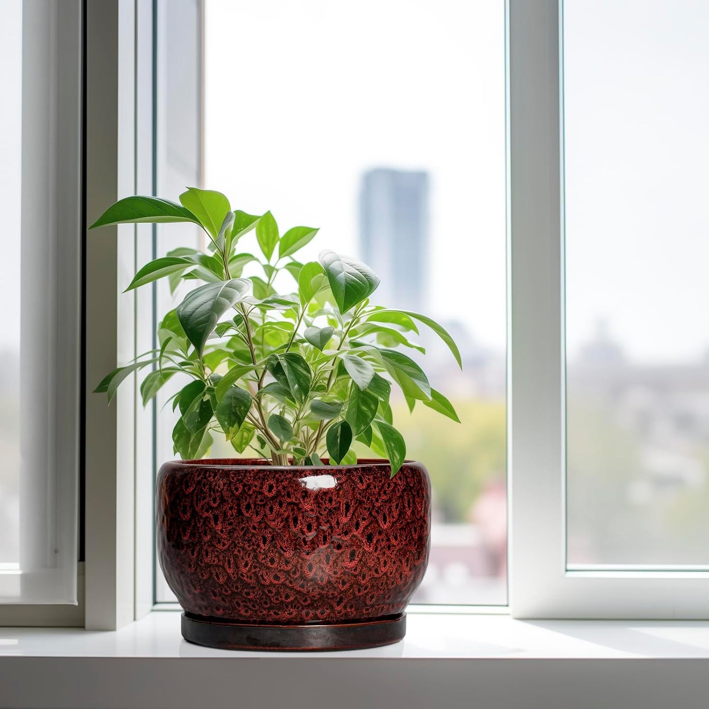 SQOWL Ceramic Flower Pots - 10 Inch Plant Pot Indoor, Ceramic Planter with Drainage Hole and Saucer, Round Decorative Large Planter Outdoor, Home Decor Living Room, Gifts for Plant Lovers, Red