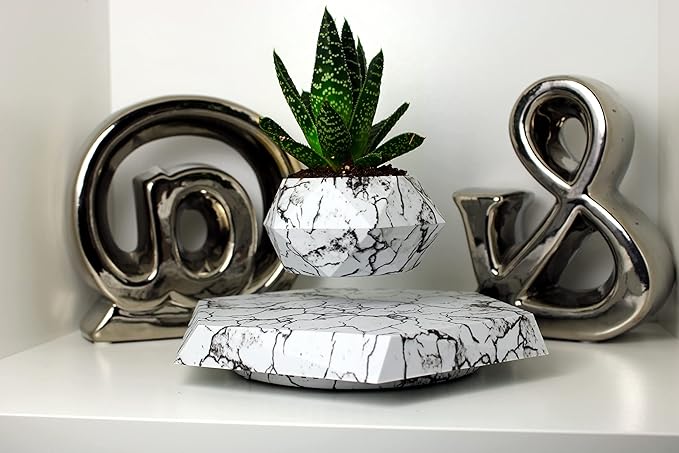 BandD Plant Pot for Succulents, air Bonsai & air Plants. Planter for Home, Office & Desk Decor. Magnetic Floating Levitating Display. (Marble)