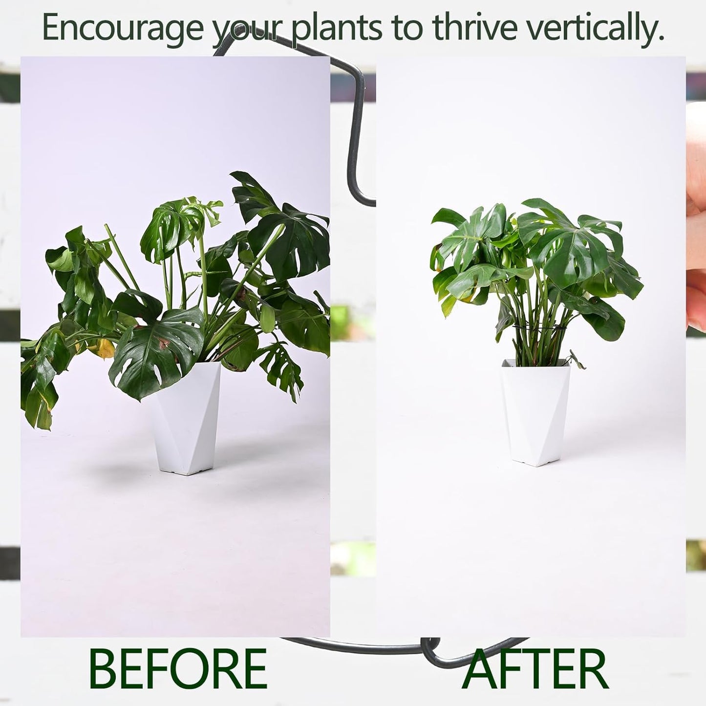 5PCS Black Monstera Plant Stem Support 9x7.6in - Adjustable & Durable Indoor Plant Stake for Cactus and Climbing Plants - Ideal Leaf Support for Gardening & Home Decor