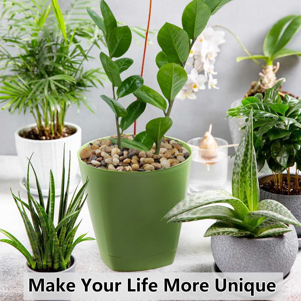 2LB Succulent and Cactus Gravel Pebbles, 3/8 Inch Decorative Polished Stones, River Rocks for Plants, Vases, Aquariums, Terrarium and Outdoor Gardening, Natural