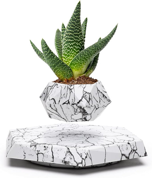 BandD Plant Pot for Succulents, air Bonsai & air Plants. Planter for Home, Office & Desk Decor. Magnetic Floating Levitating Display. (Marble)