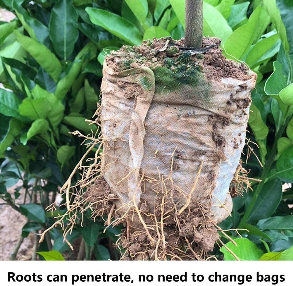 200Pcs Nursery Growing Bags, 5.8"x5" Small Grow Bag for Plants, Fabric Plant pots, Potato, Flower, Tomato Solid Seed Starter