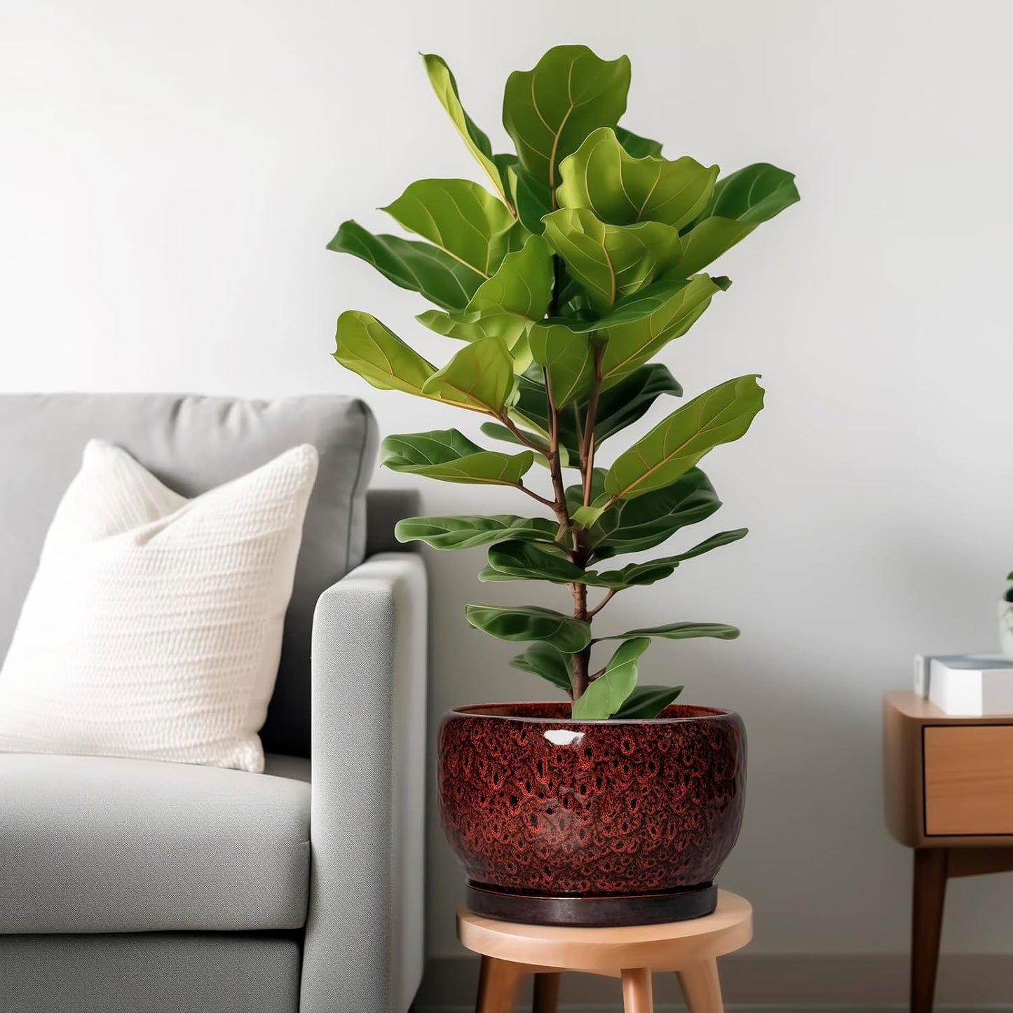 SQOWL Ceramic Flower Pots - 10 Inch Plant Pot Indoor, Ceramic Planter with Drainage Hole and Saucer, Round Decorative Large Planter Outdoor, Home Decor Living Room, Gifts for Plant Lovers, Red