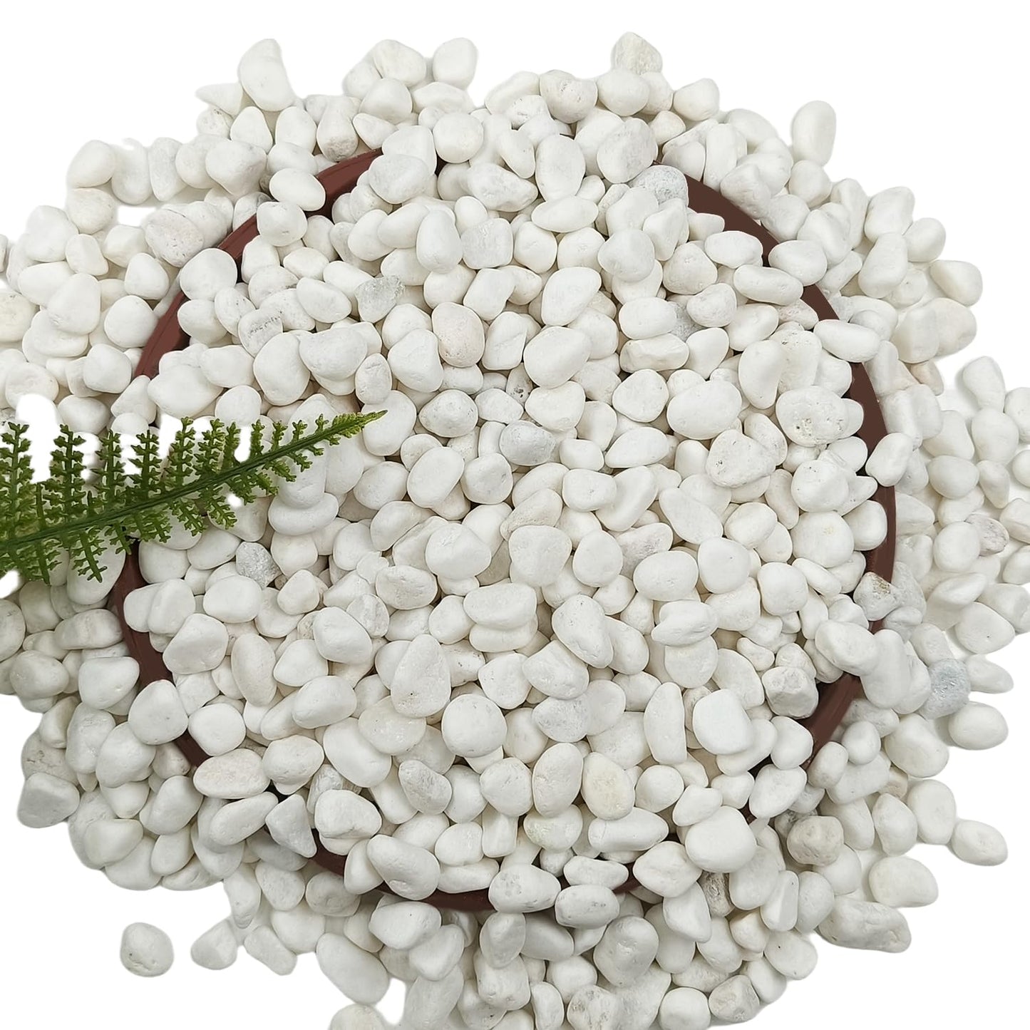 15LB White Gravel for Succulents and Cactus, 0.6 Inch Natural Unpolished Crushed River Rocks for Plants, Vases, Aquariums, Terrariums, Planters, Outdoor Gardening & Landscaping Decorative Stones